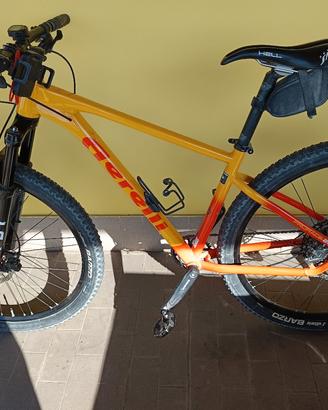 Mountain bike 