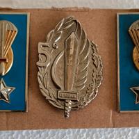 Folgore: mostrine e fregio 5° Btg. El Alamein