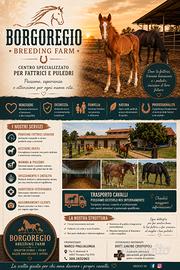 Borgoregio breeding farm - centro per fattrici
