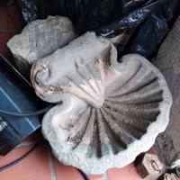 Acquasantiera settecentesca