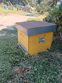 Arnie Api Apicultore Melari 