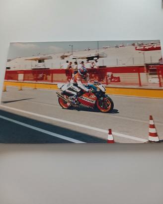 foto professionale di Mick Doohan 