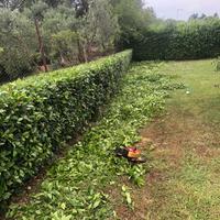 Giardiniere attrezzato-economico