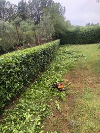 Giardiniere attrezzato-economico