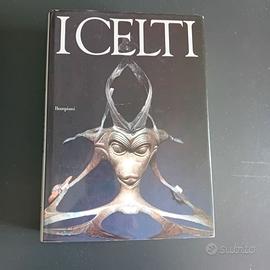 D libro i Celti mostra, Palazzo Grassi, Venezia, 1