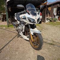 YAMAHA FZS 1000 SPECIAL