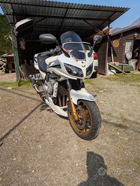 YAMAHA FZS 1000 SPECIAL