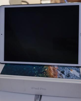 Ipad pro