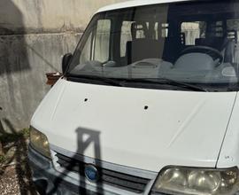 FIAT Ducato (2ª serie) - 2000