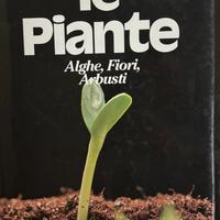 Le piante
