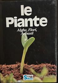 Le piante