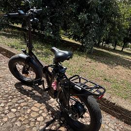 bici elettrica 250w
