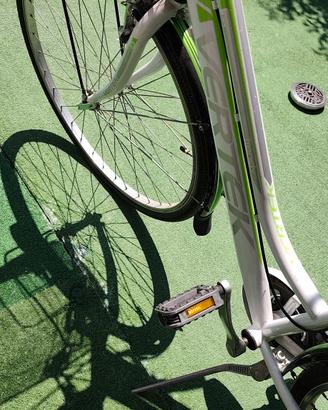 bicicletta femminile 