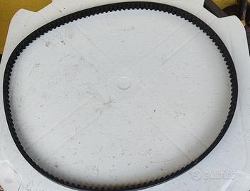 Cinghia Harley Davidson 