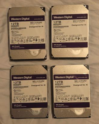 4 Hard Disk da 12 TB WD Purple