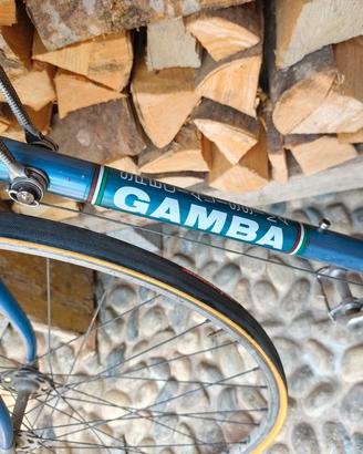 Bicicletta Gamba