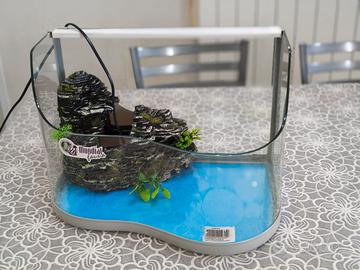 Acquario acquaterrario tartarughiera