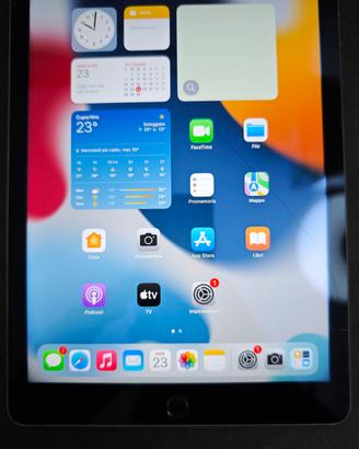 iPad Air 2 Funzionante vetro rotto 