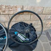 Cerchi bici da corsa in carbonio