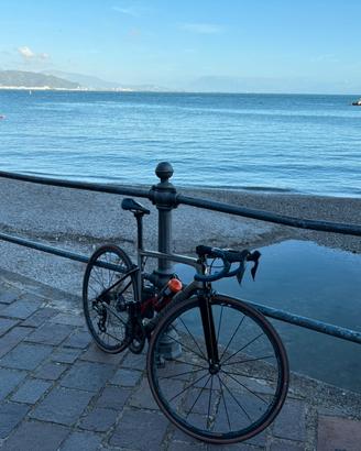Specialized tarmac s-works