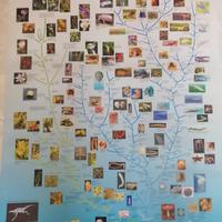 POSTER "L'evoluzione delle piante e degli Animali"