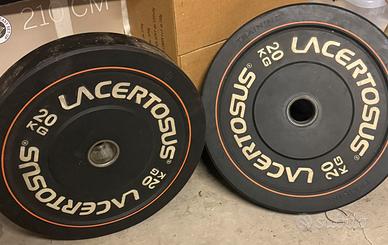 Due dischi Lacertosus 20 kg