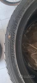 gomme estive 