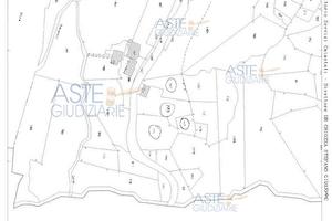 Terreno Agricolo Ala di Stura [A4327813]