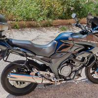 Yamaha TDM 900 - 2007