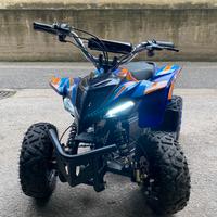 Quad elettrico