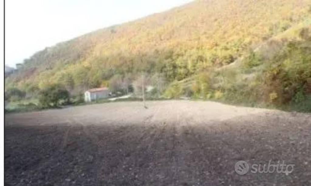Immobile in asta di 65380 m² a Nocera Umbra - Altro