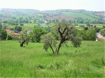 Lotto di terreno edificabile da 750mq