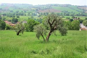 Lotto di terreno edificabile da 750mq