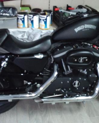 Harley Davidson 883N XL