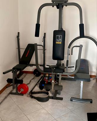palestra