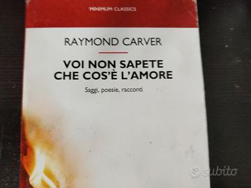 Carver, Voi non sapete cos'è l'amore - poesie