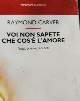 Carver, Voi non sapete cos'è l'amore - poesie