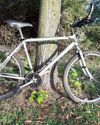 Mountain bike Bianchi