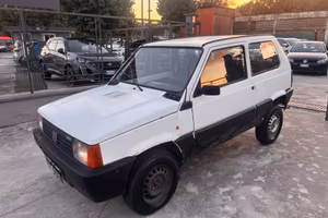 Fiat Panda 1.2 4x4