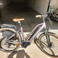 bicicletta a pedalata assistita 