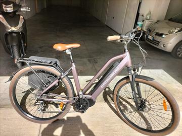 bicicletta a pedalata assistita 