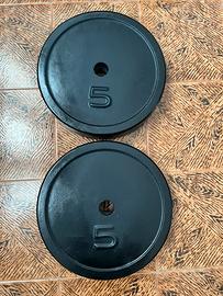 Dischi da 5kg in cemento armato