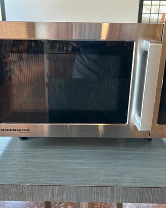 Microonde professionale