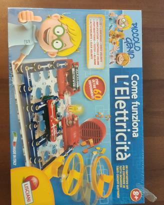 gioco didattico Lisciani 