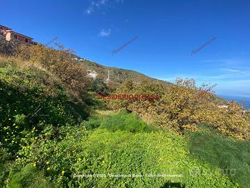 Terreno, Gioiosa Marea.