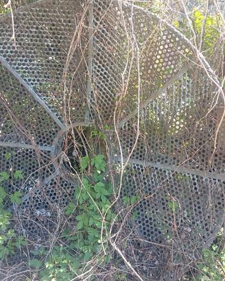 parabola ex ripetitore