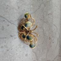 spilla in argento dorato