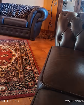 divani 