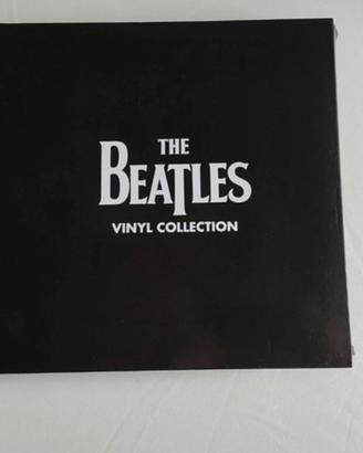 Raccoglitore vinili Beatles