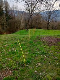 rencinzione per ovini